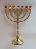 Menorah a sette bracci in ottone lucido – 24 x 19 cm