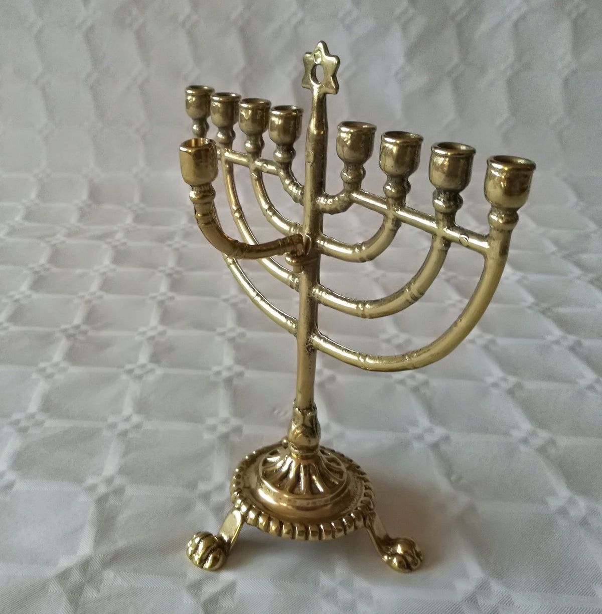 Chanukkiah in ottone lucido a nove bracci – 14 x 18 cm