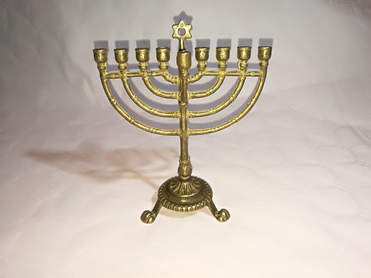 Chanukkiah in ottone lucido a nove bracci – 14 x 18 cm